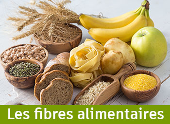 Les fibres alimentaires : leurs vertus sur l'organisme